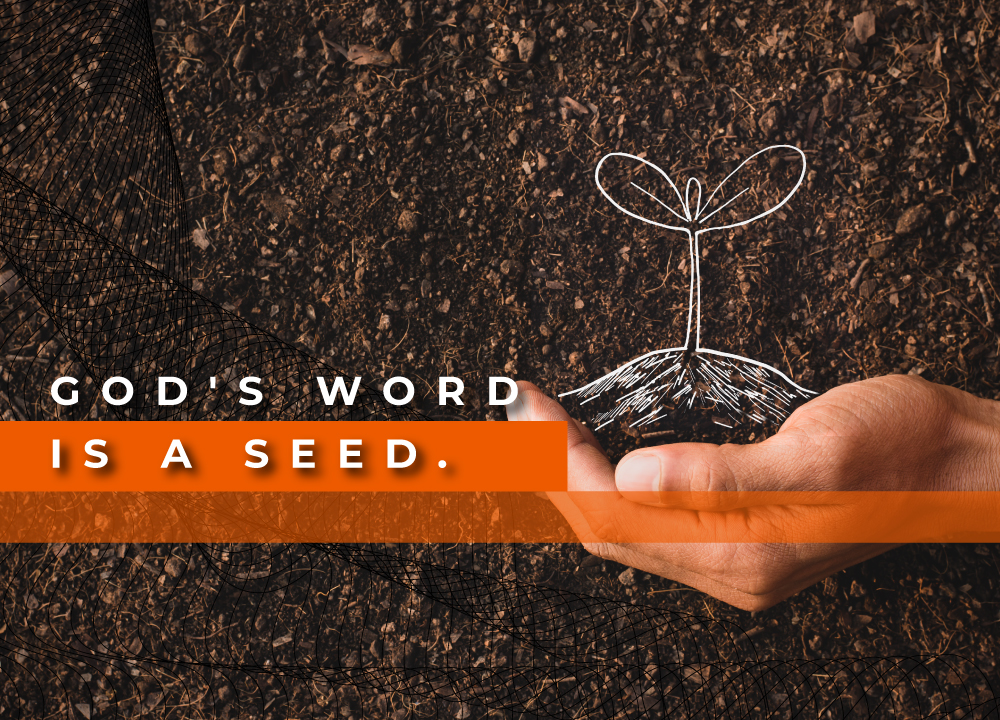 god-s-word-is-a-seed-revival-house